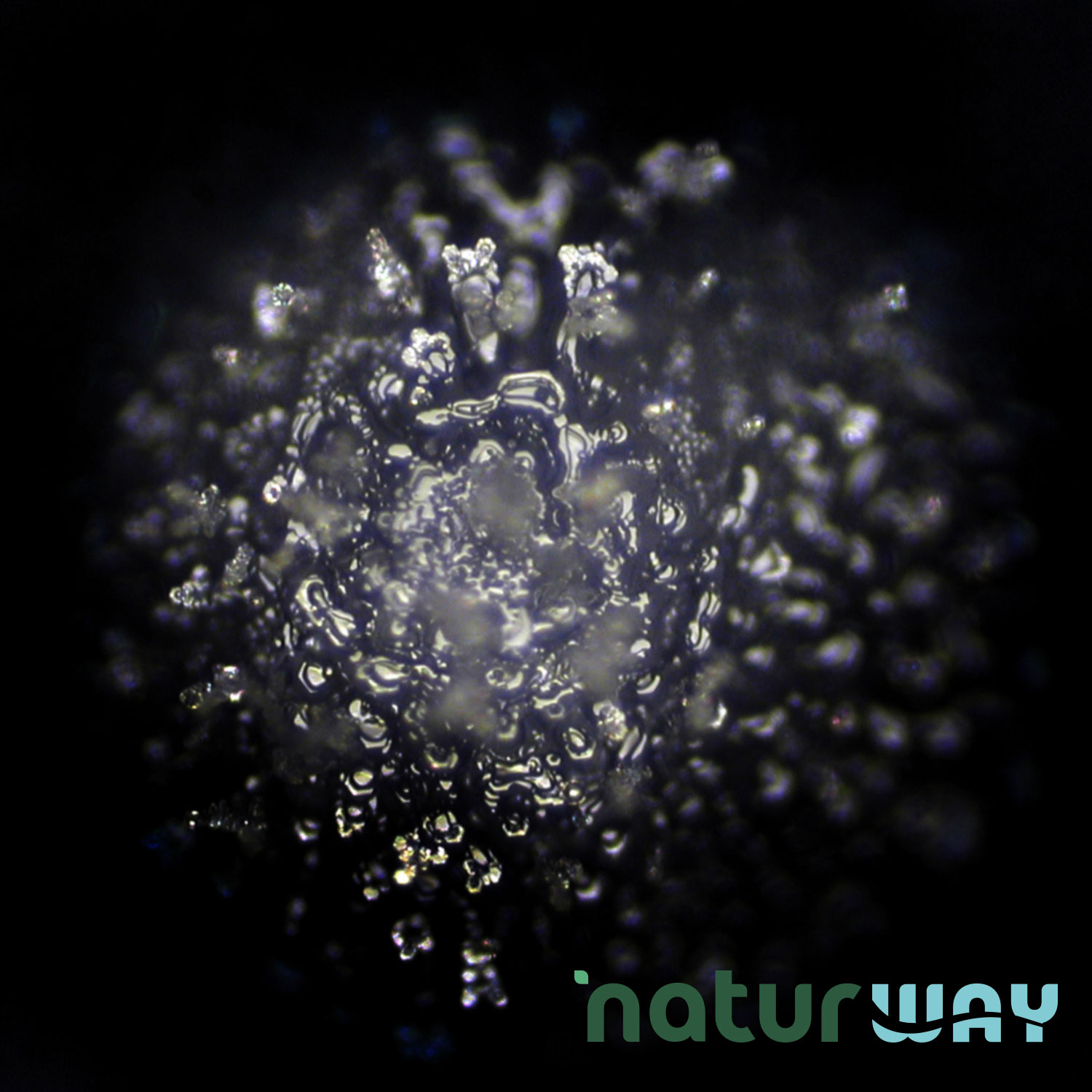 I cristalli d'acqua possono riferirsi ai cristalli di ghiaccio, che assumono forme geometriche simmetriche a sei lati quando l'acqua congela, oppure, nel contesto del movimento l'acqua informata di Masaru Emoto, a strutture cristalline che si formano dopo aver congelato l'acqua ed esposto i campioni a stimoli come parole o musica