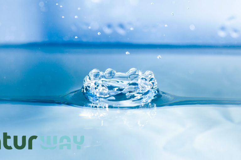 Riconoscere i metalli pesanti nell’acqua non è sempre semplice, ma esistono alcuni segnali che possono far sospettare una contaminazione. Uno dei primi indicatori può essere un cambiamento nel gusto: l’acqua potrebbe assumere un sapore metallico, amaro o insolito. Anche l’odore, sebbene meno frequente, può risultare alterato. Prestare attenzione a questi dettagli è un primo passo per riconoscere i metalli pesanti nell’acqua.
